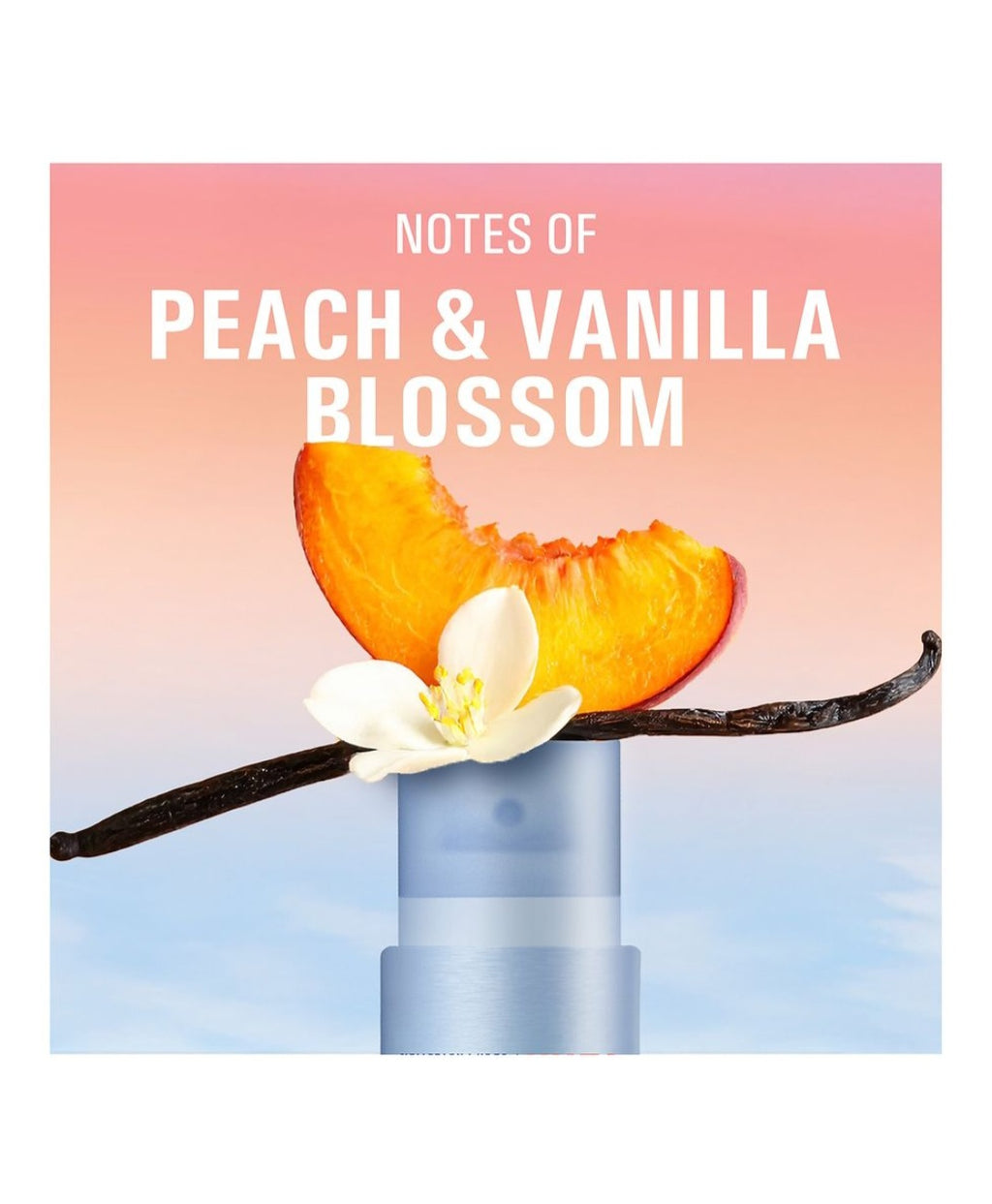 Secret Whole Body Peach & Vanilla Blossom 3.5 oz
