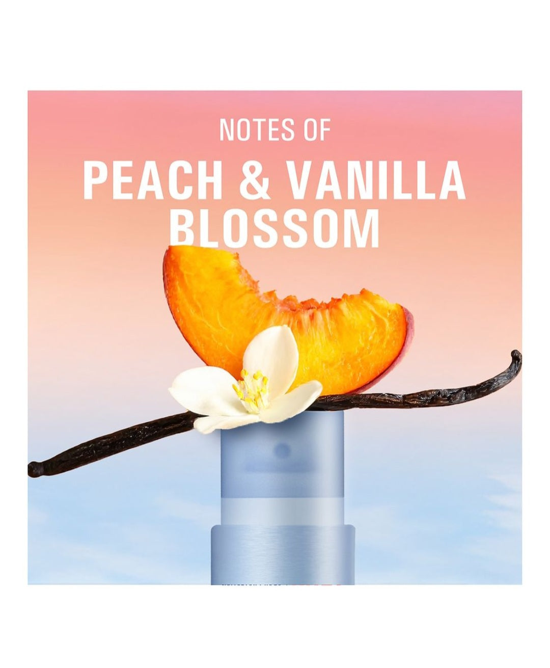 Secret Whole Body Peach & Vanilla Blossom 3.5 oz