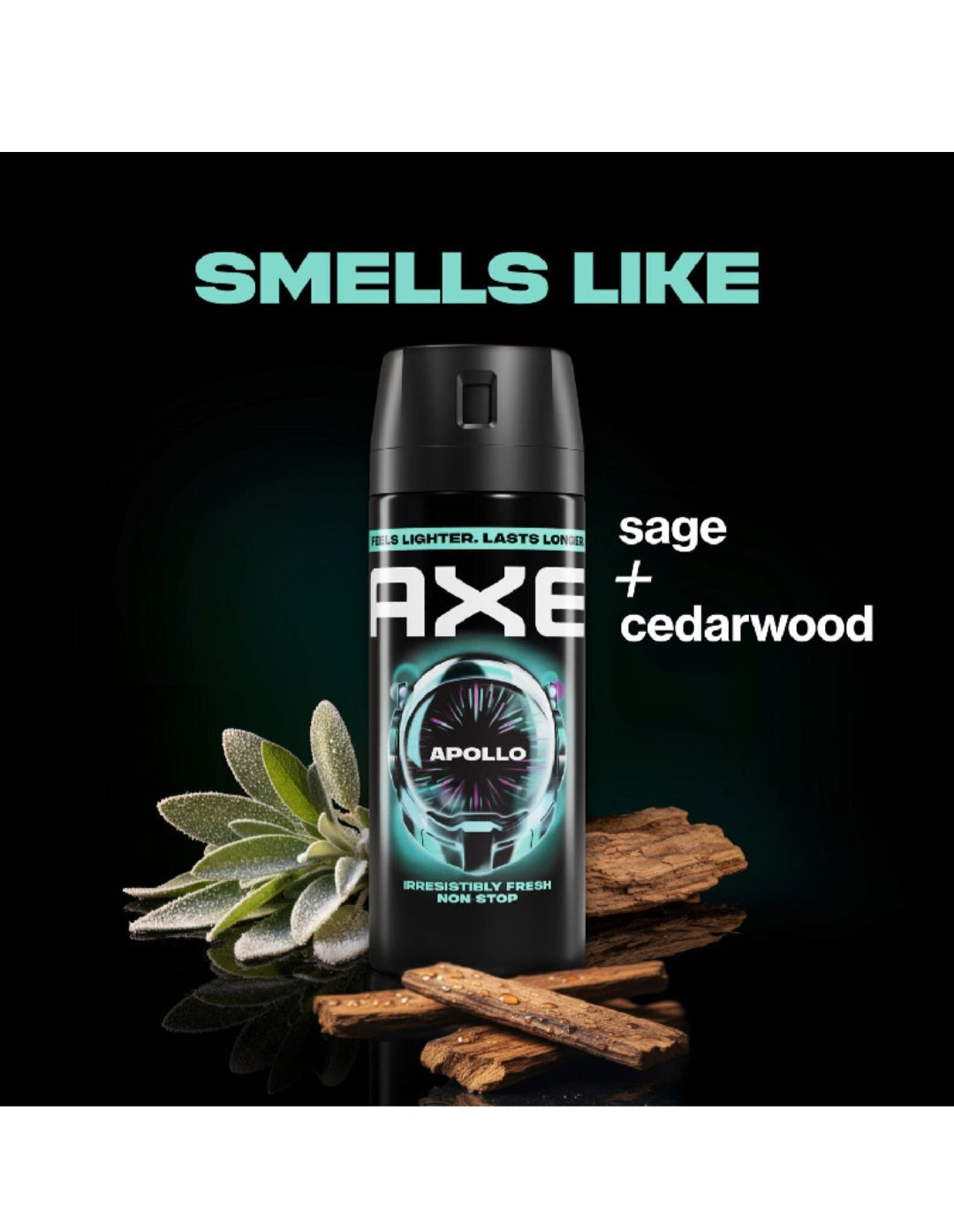 Axe Apollo Temptation Deodorant Body Spray 4 oz